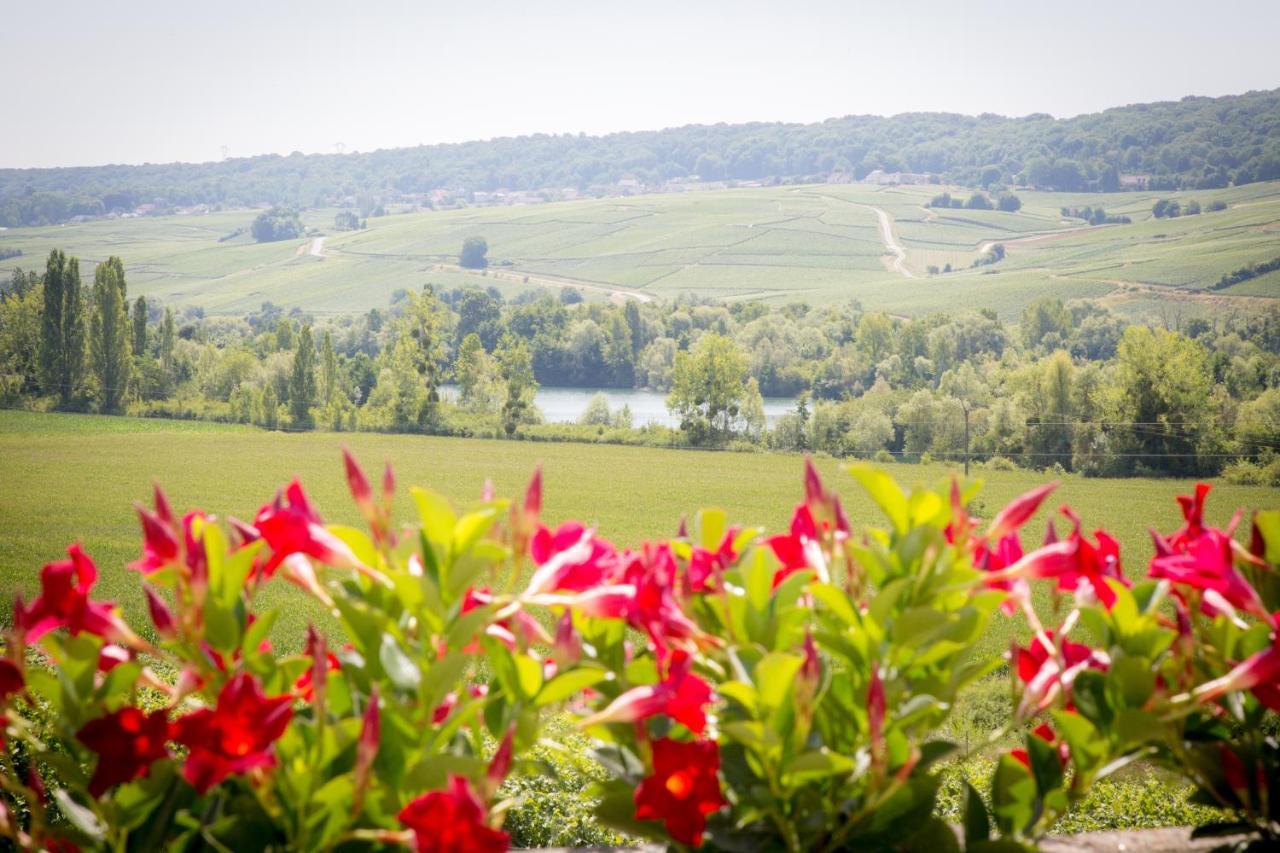 Bed and Breakfast Domaine Bacchus Reuil-sur-Marne Exteriér fotografie